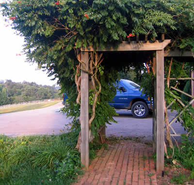 Arbour Installation, Wine trimming, perennial garden bed installs