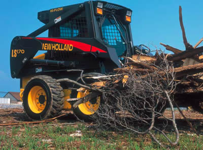 Bobcat