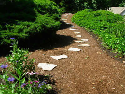 Trimming back of plant material, Installation of misc. for additional colour, Bark Mulch Install, recessed flagstone pathway